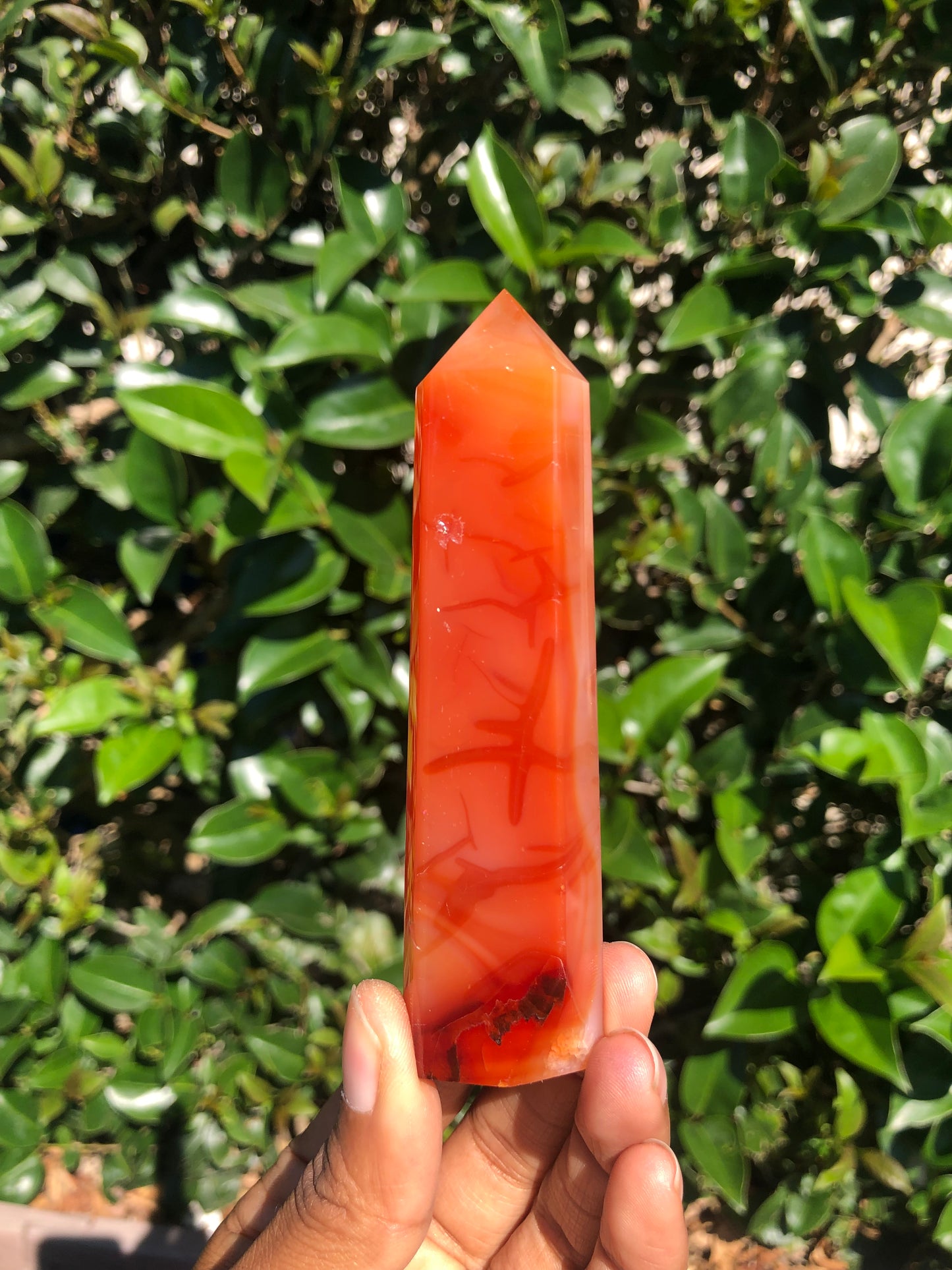 Carnelian Towers