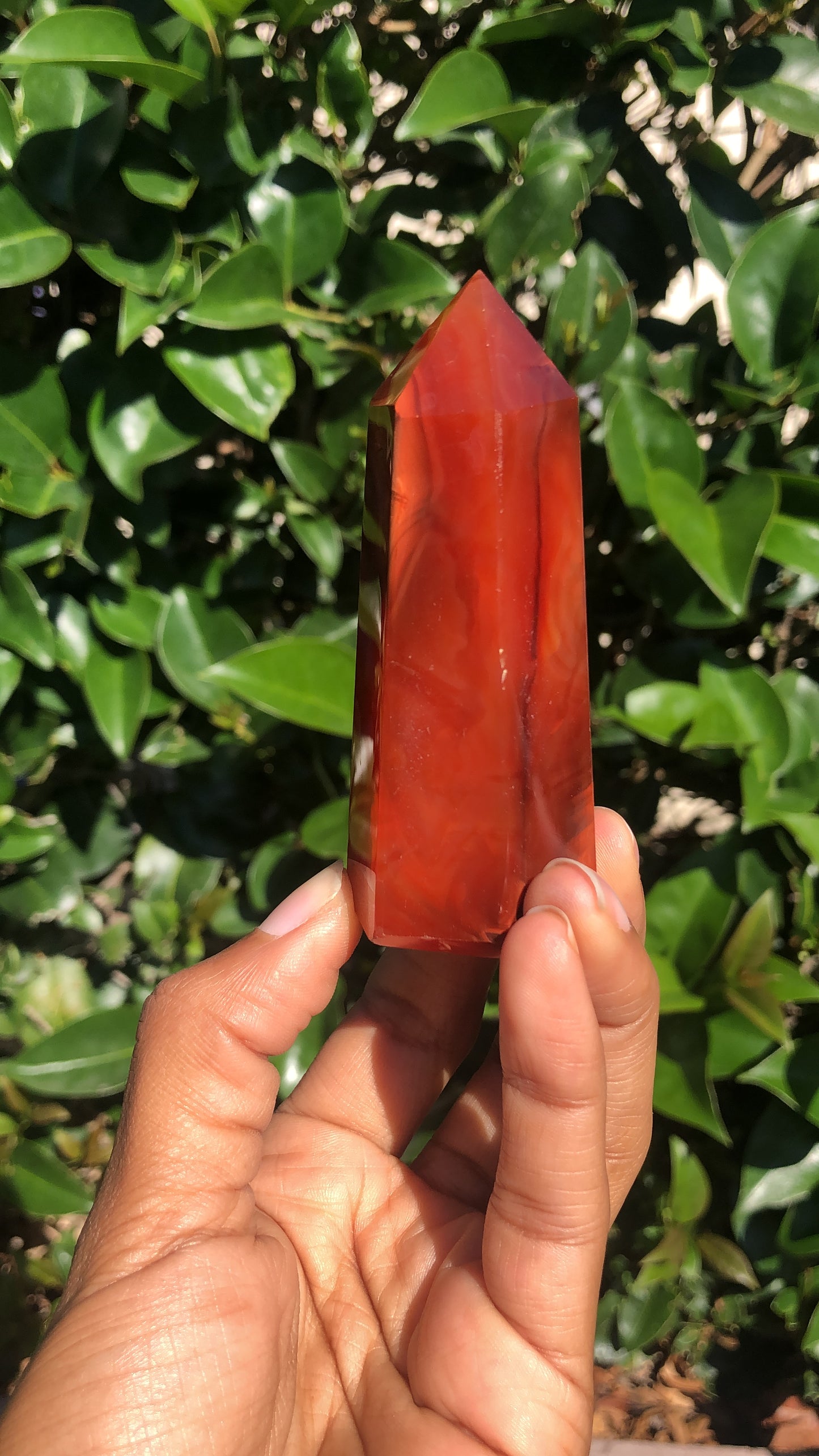 Carnelian Towers