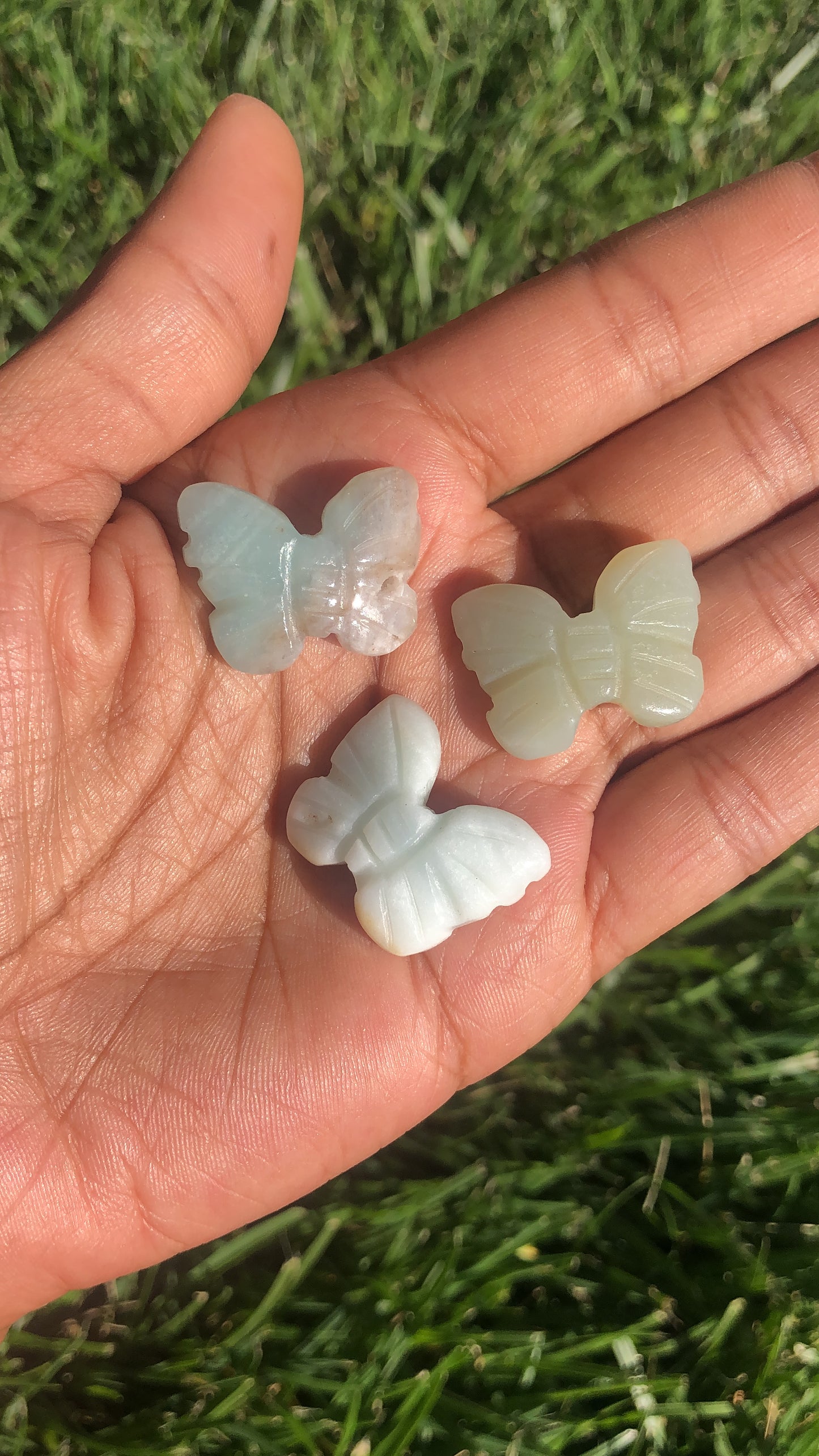 Aragonite Butterflies