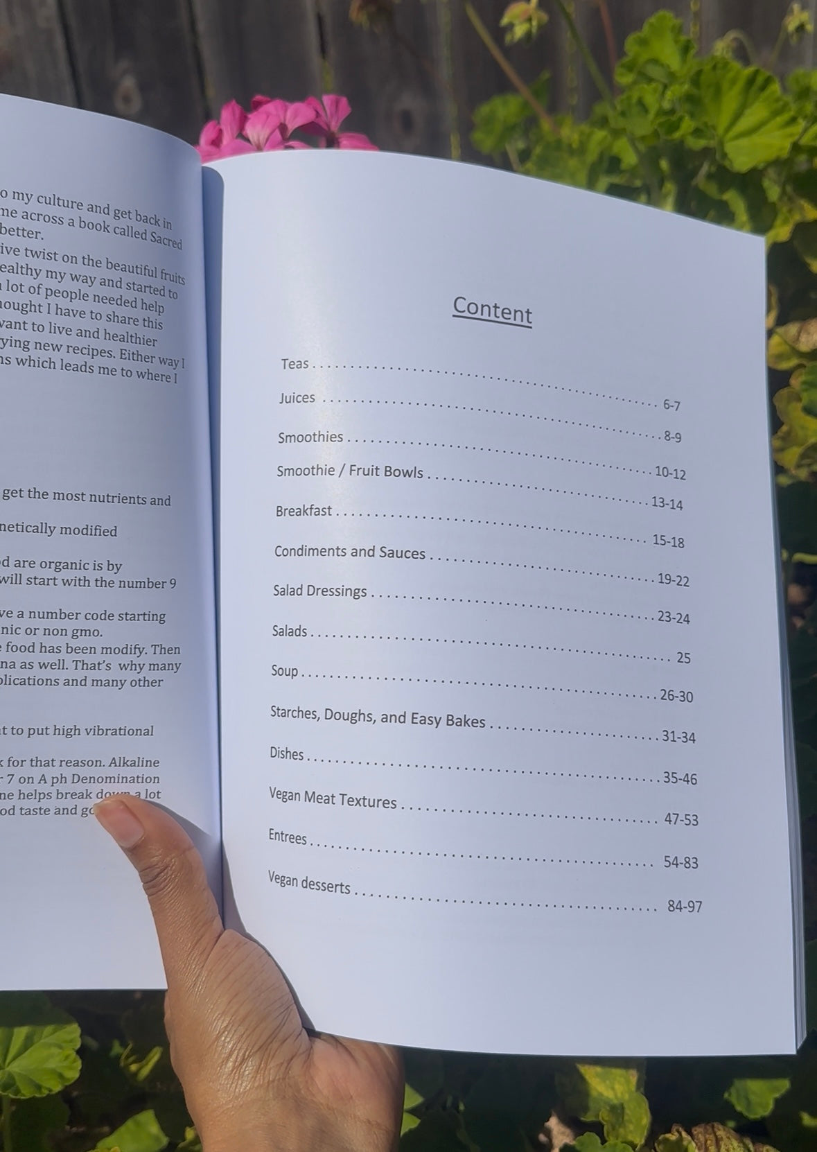 CreatiVegan Book