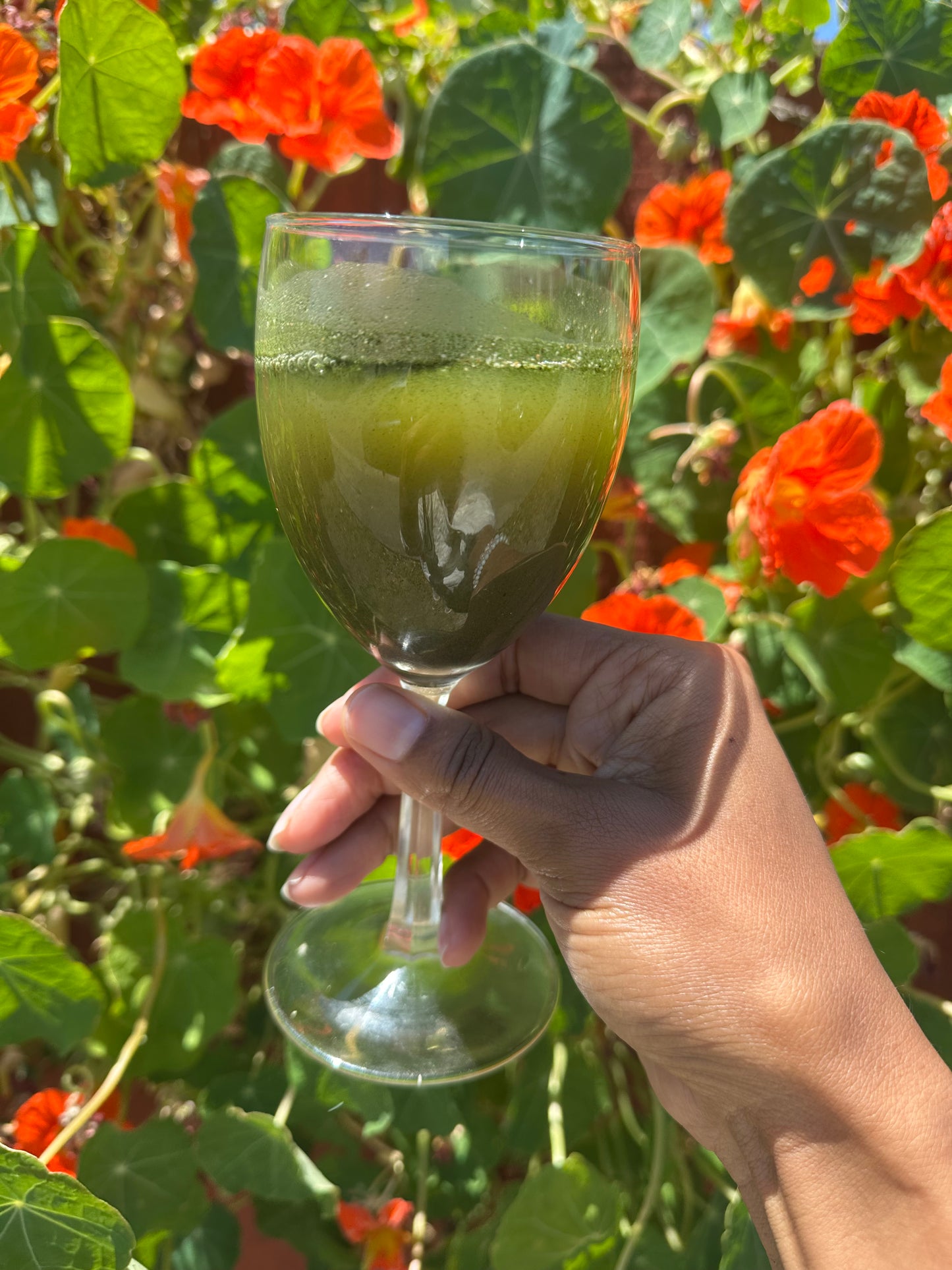 111 Superfood Multivitamin Blend