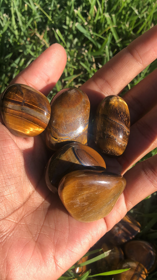 Tigers Eye Tumble