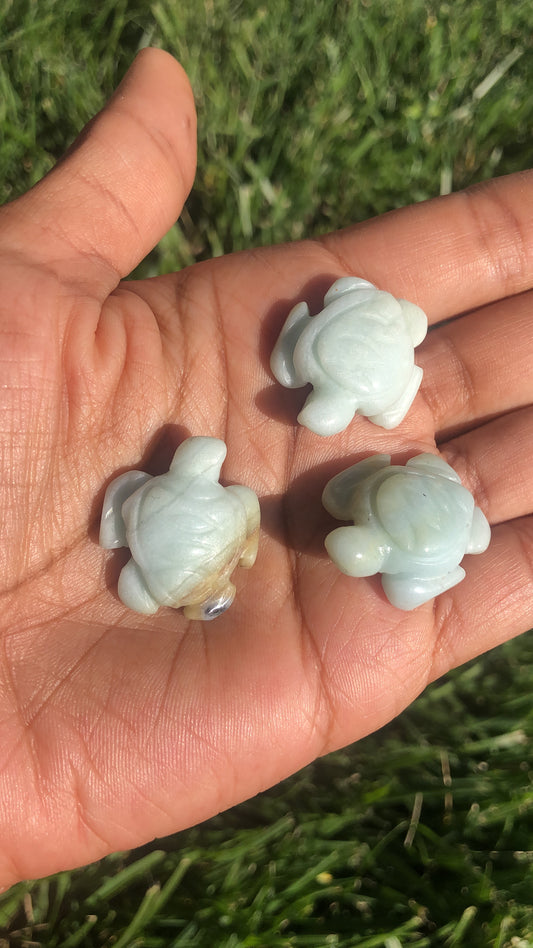 Mini Aragonite Turtles