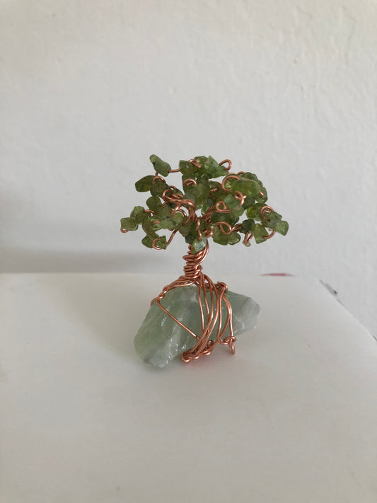 Money Tree