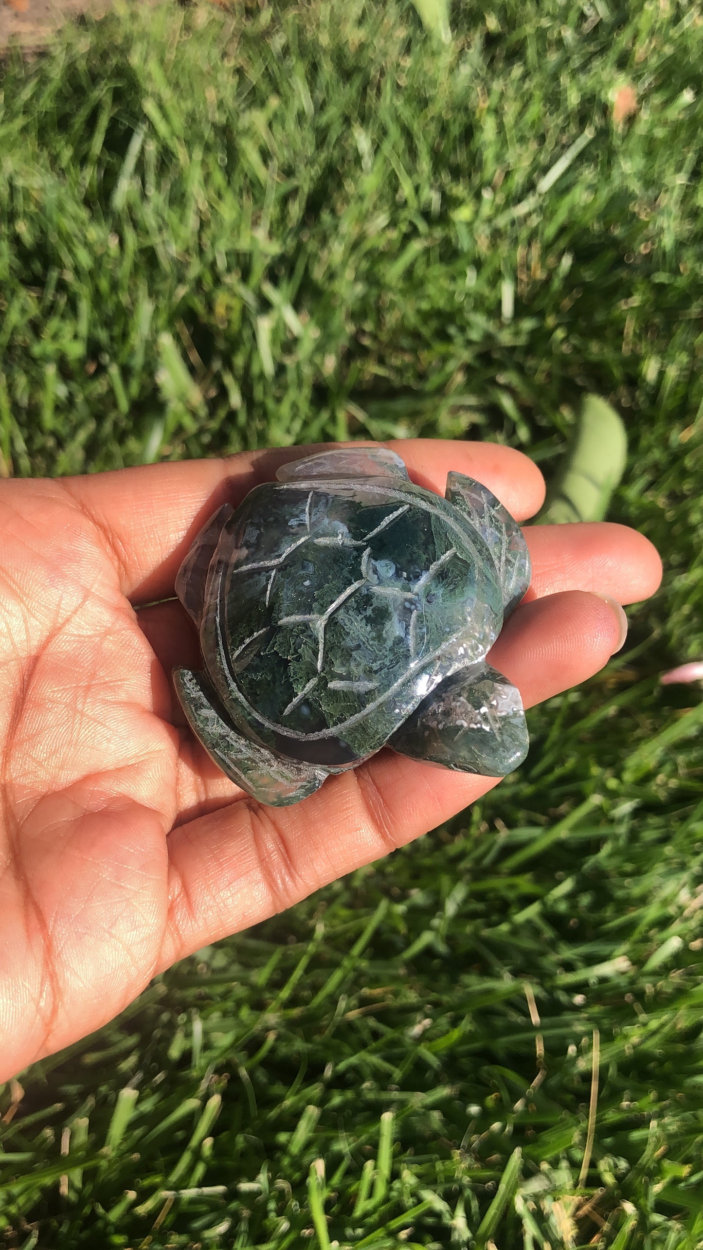 Moss Agate Turtle