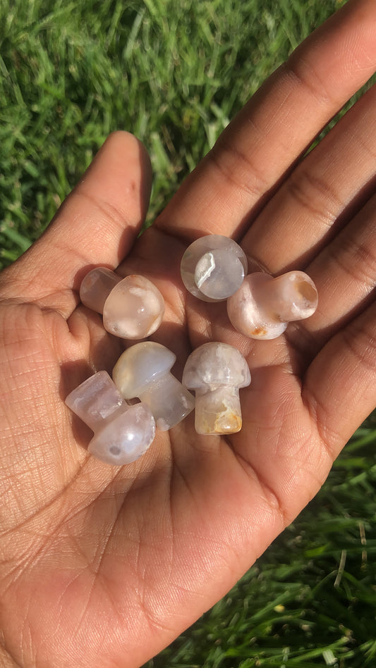 Flower Agate Mushrooms