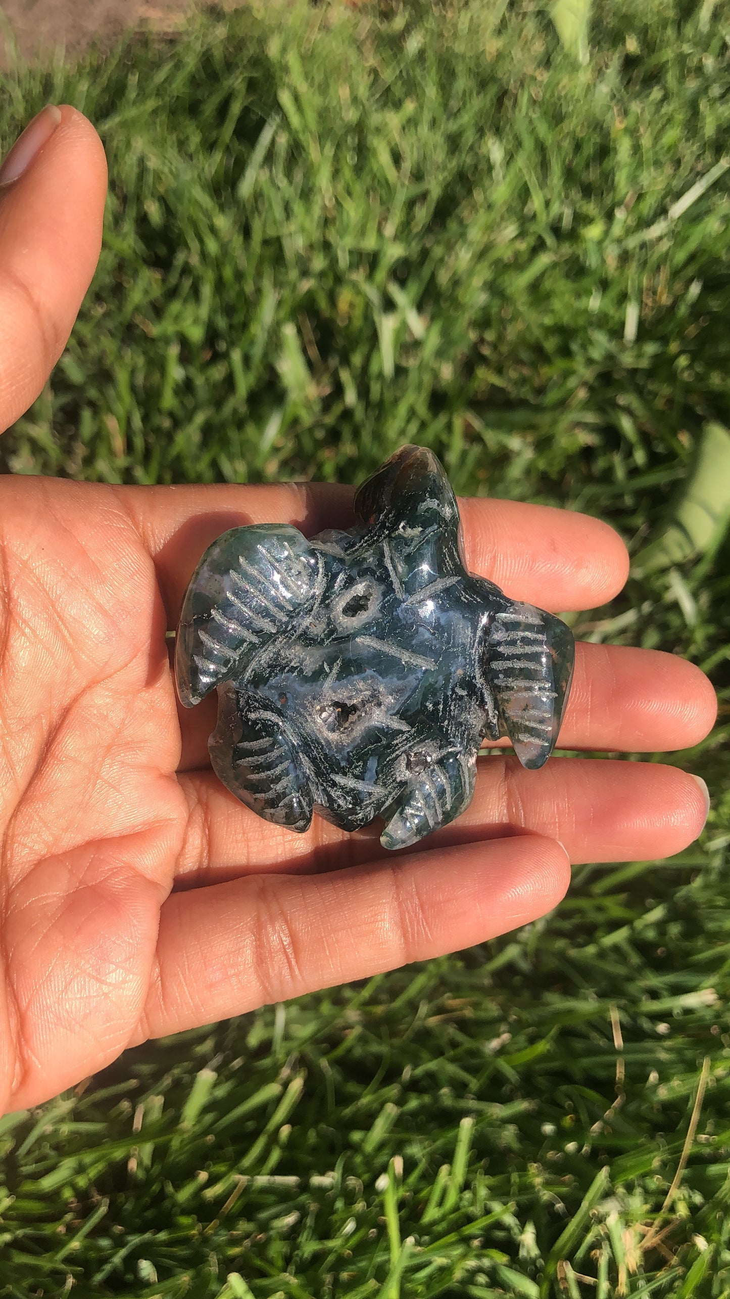 Moss Agate Turtle