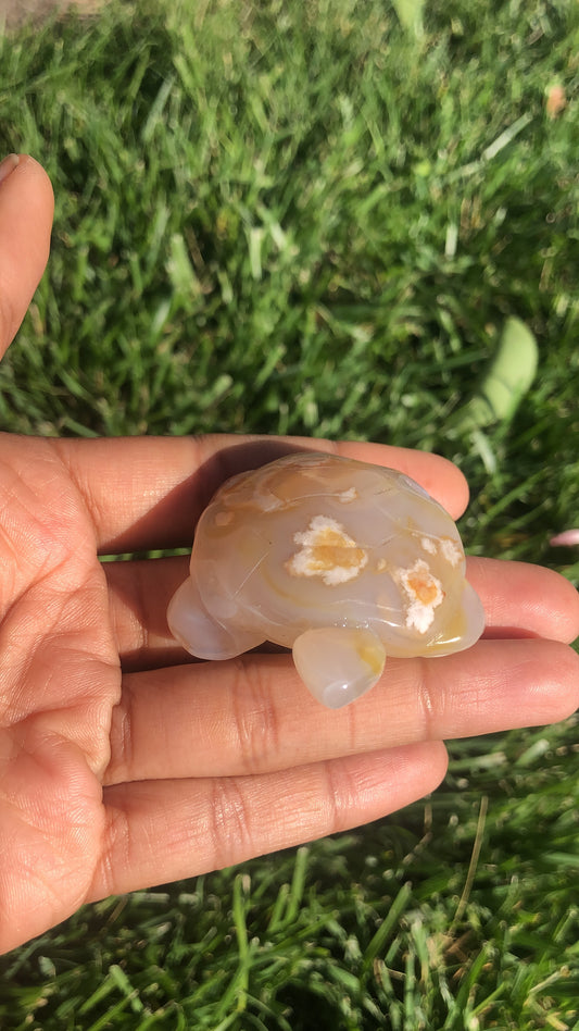 Flower Agate Turtle