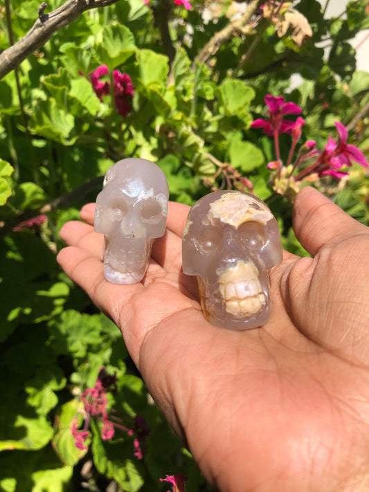 Flower Agate Skull