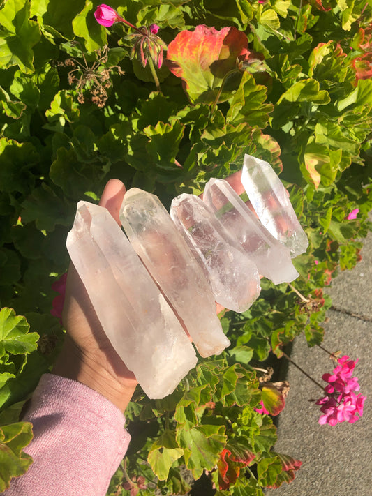 Lemurian Quartz